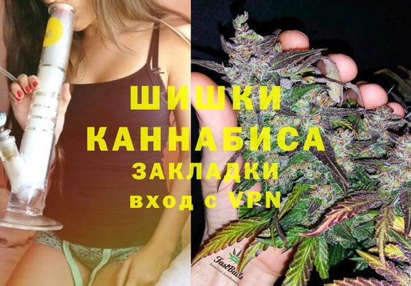 мдпв Гусь-Хрустальный