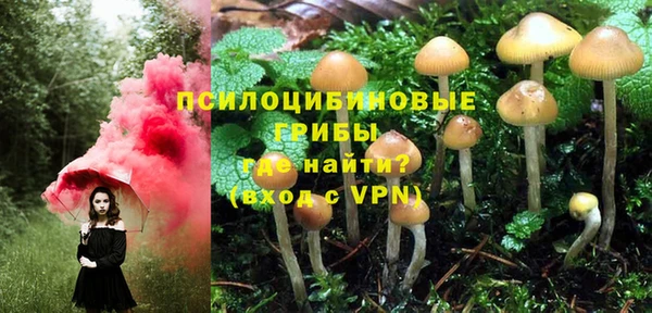 mdpv Вязники