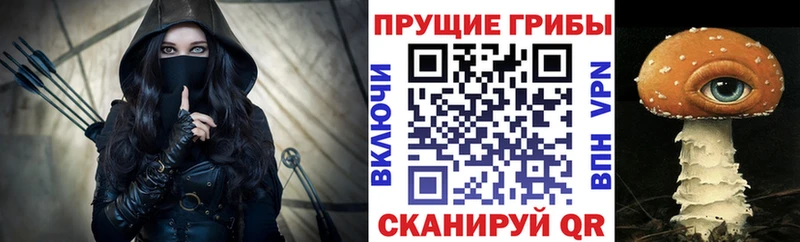 купить наркотики цена  Демидов  Псилоцибиновые грибы GOLDEN TEACHER 